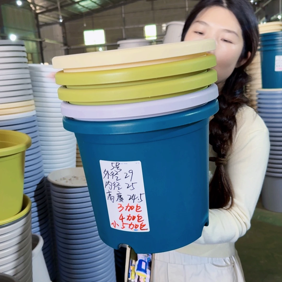 微瑕5#无拖果绿6个