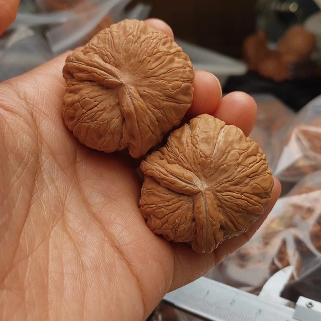 文玩核桃把件元宝蛇