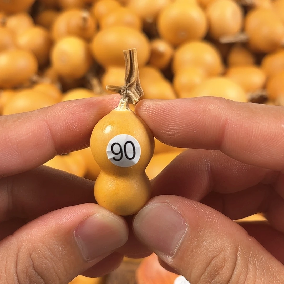 四葫芦葫芦葫芦葫芦90