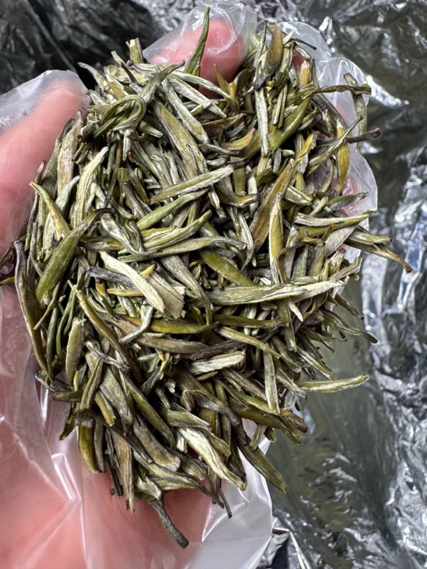 2025云南凤庆头春老品种明前冰绿雀舌