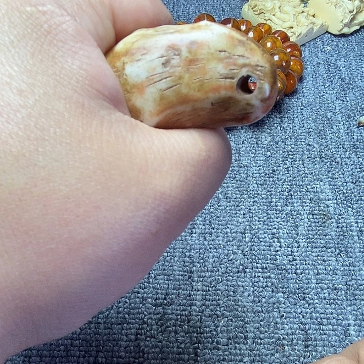 大果紫檀（缅甸花梨）
