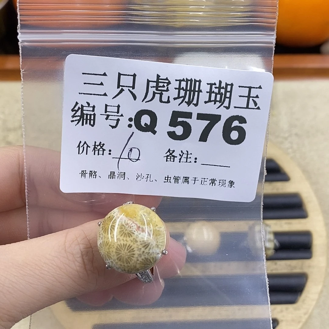 硅化珊瑚（珊瑚玉）1未镶嵌敬*