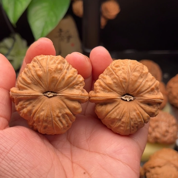 一***草桃核手串南瓜墩全品