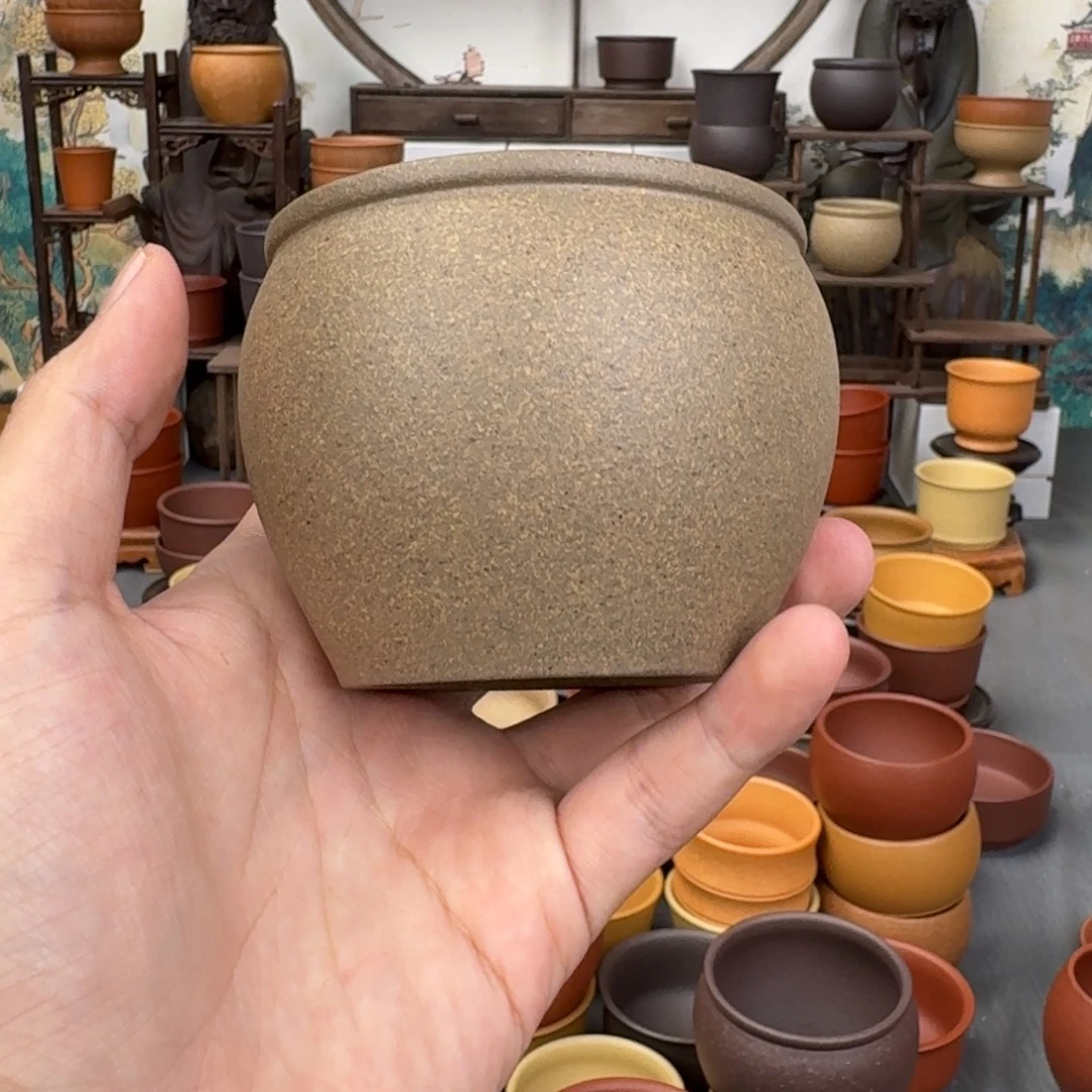 茶杯紫砂655555345455545