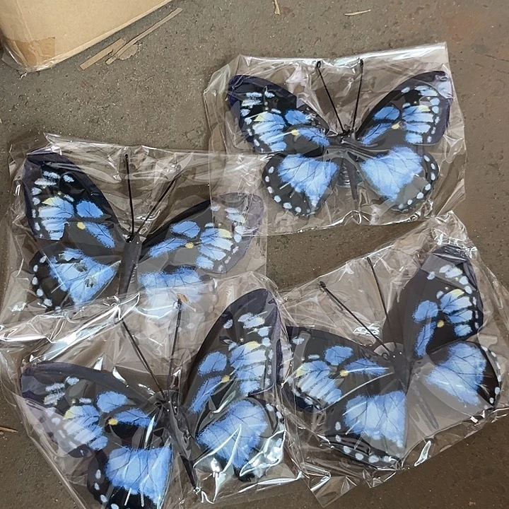 哈哈我的天哪太可爱啦