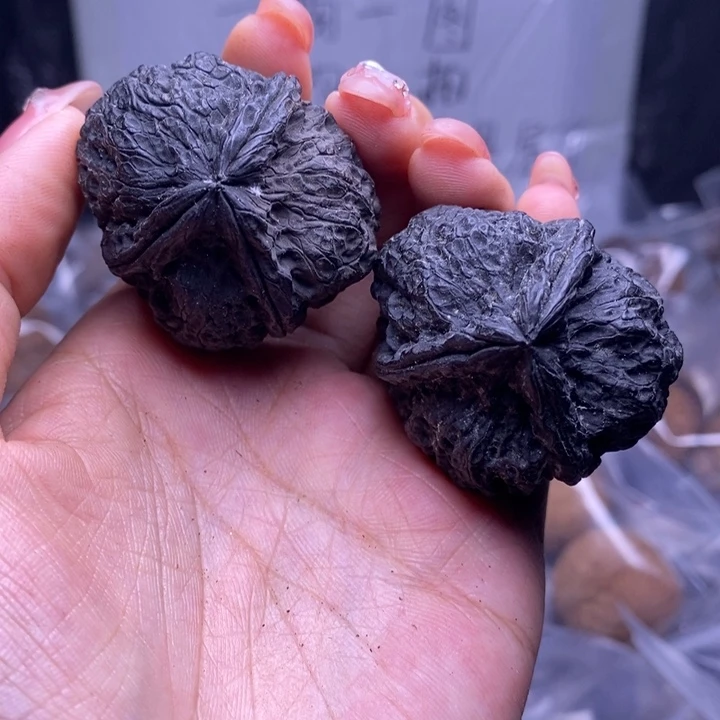 文玩核桃把件云南野生铁核桃77号41mm