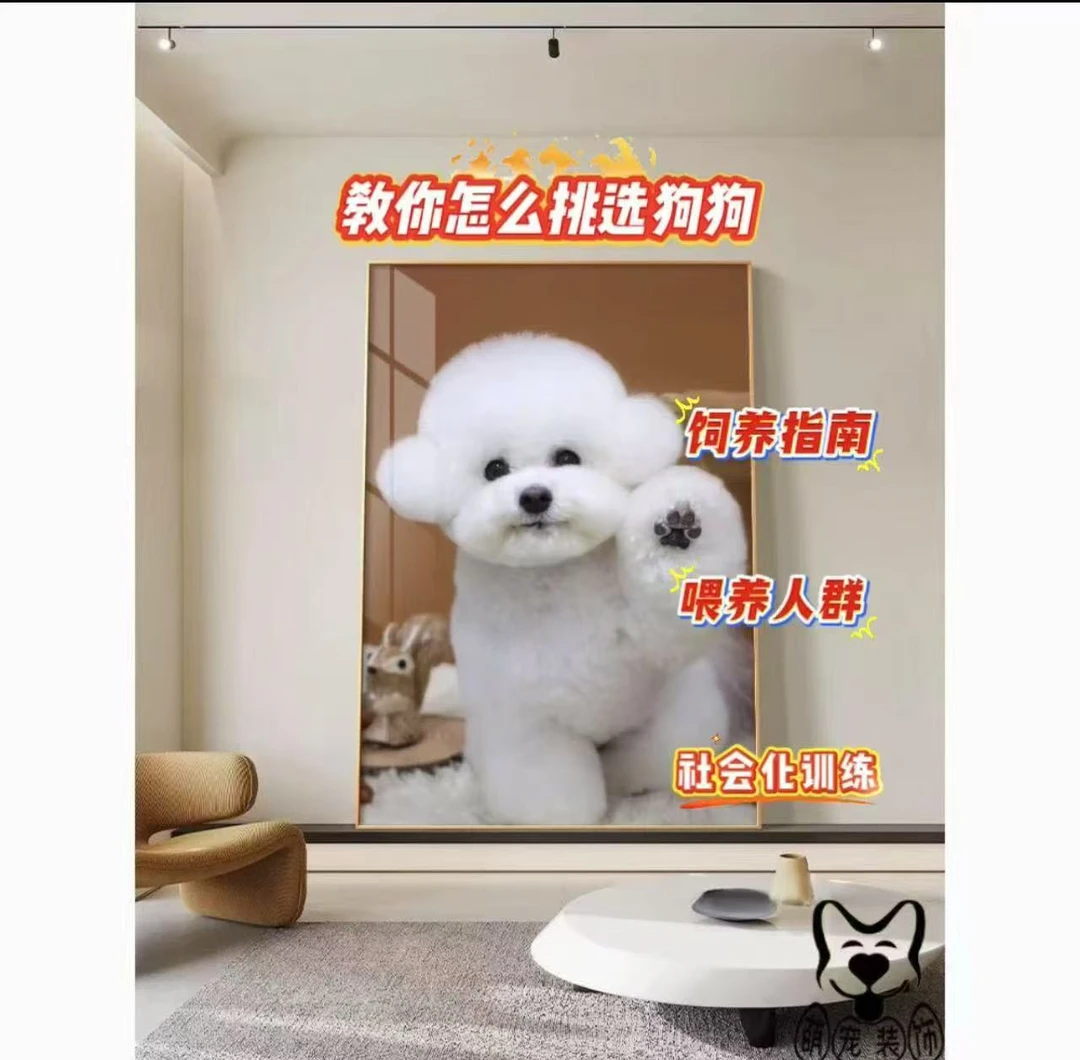 教你怎么挑选宠物和售后链接