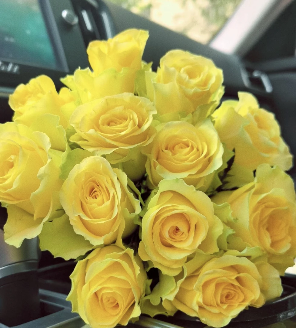 （曼）  浪漫沙滩15支+5支防损 鲜花任意满2单包邮