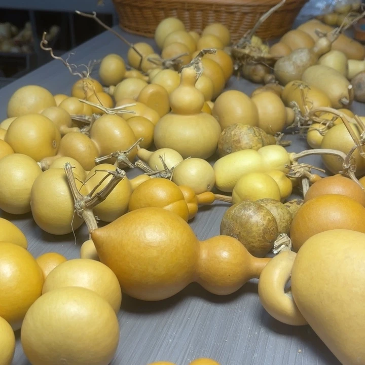 $***海健健康康快快乐乐