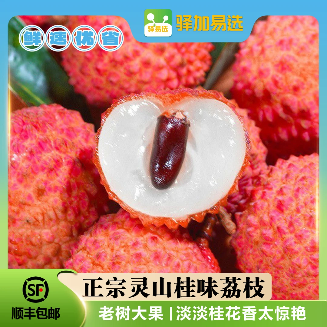【广西灵山千年古荔】桂味荔枝 广西灵山直发 肉厚核小，清甜爆汁SL