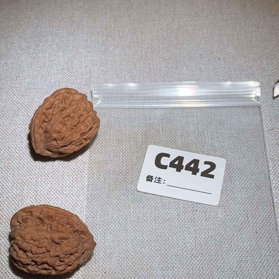 文玩核桃吊坠蚂蚁王442