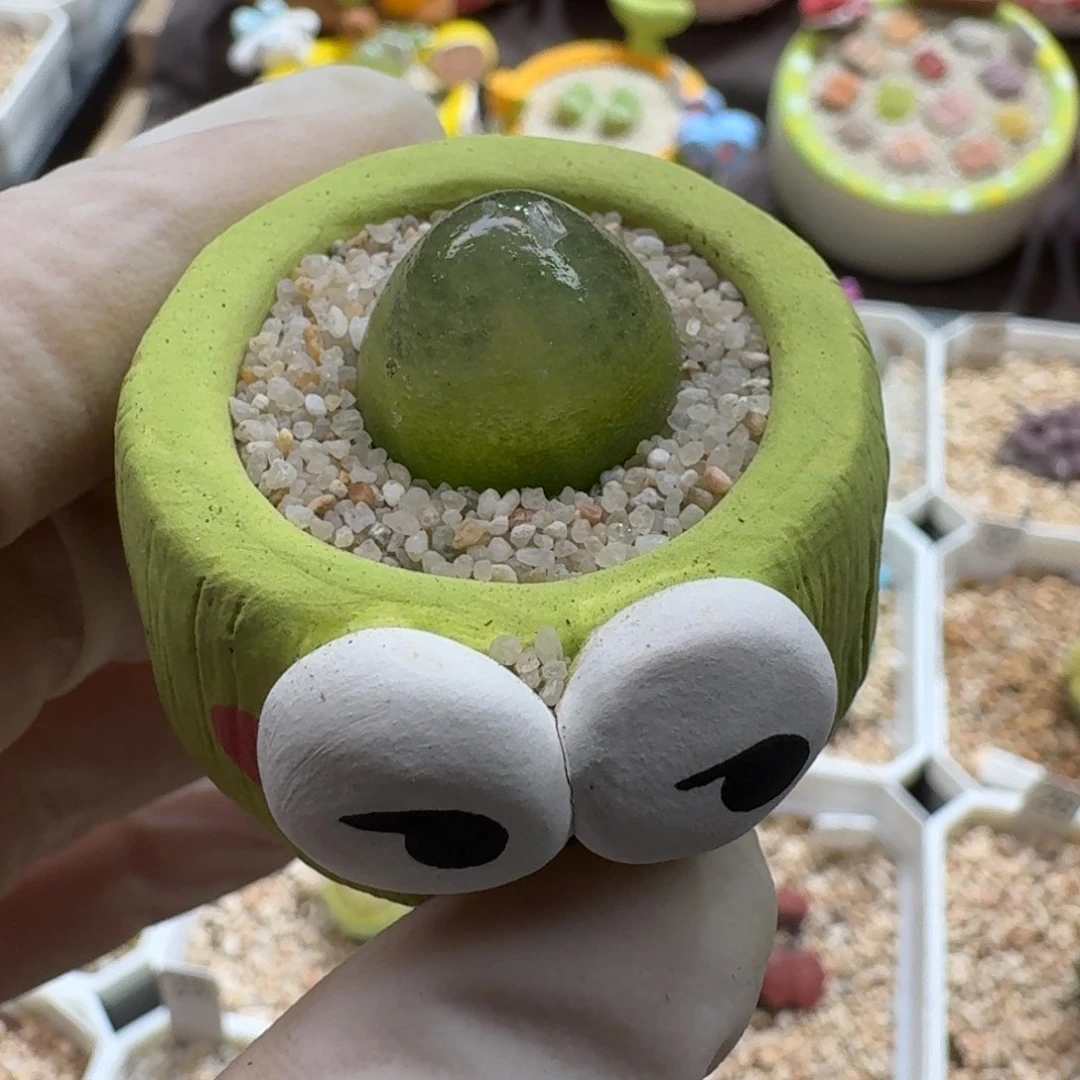 0927-049连盆带花灯泡
