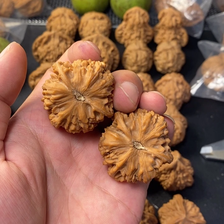 G***d把件桃核4555555555