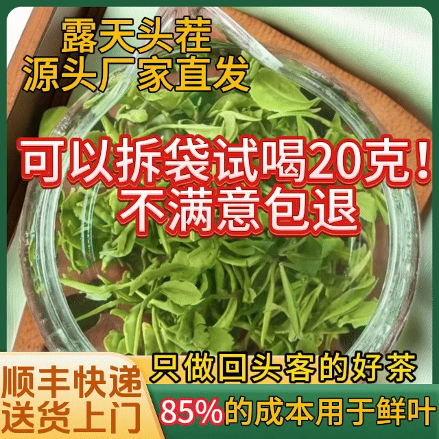 【一芽一叶 露天春茶】2025日照绿茶手工4月底豆香一芽一叶占比率高