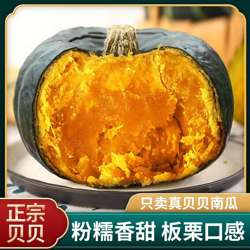 正宗贝贝南瓜新鲜采摘粉糯香甜板栗味可作宝宝辅食
