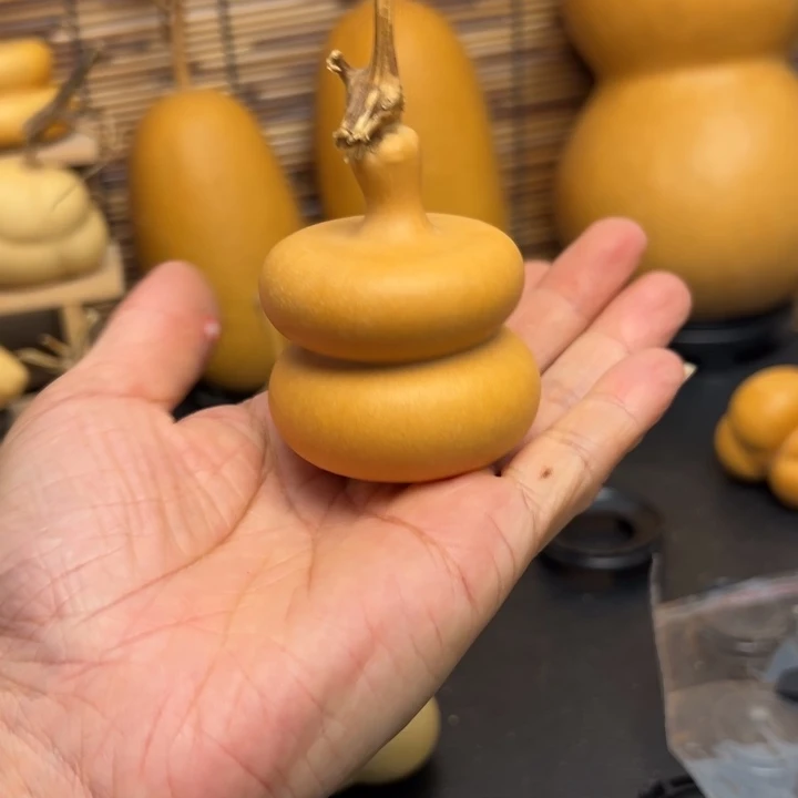 ?*?556636555555666999