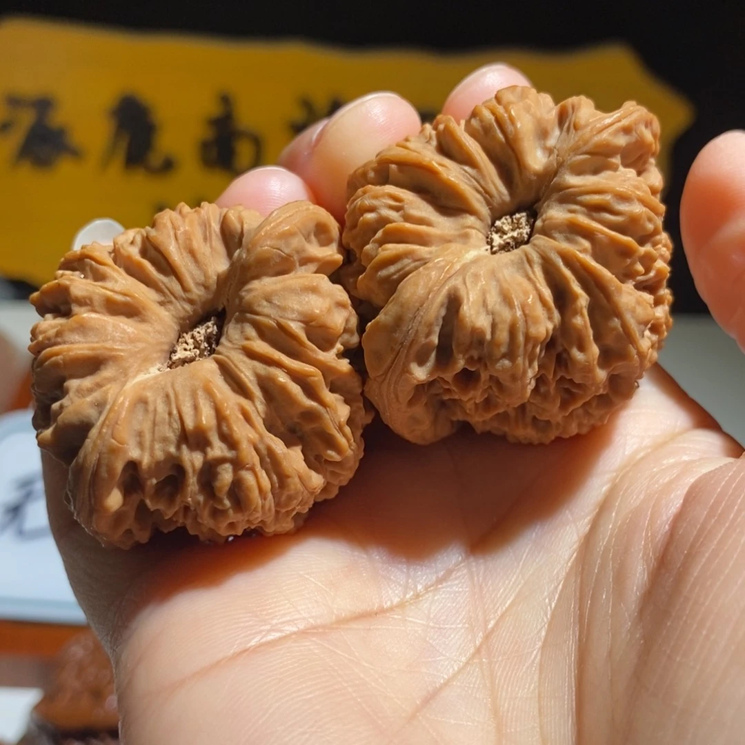 了***昂大叶紫檀（黑酸枝木类）