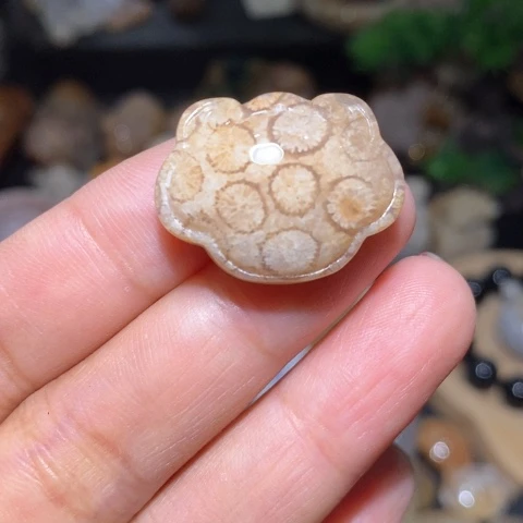 【闪购商品】硅化玉吊坠(不含链)未镶嵌