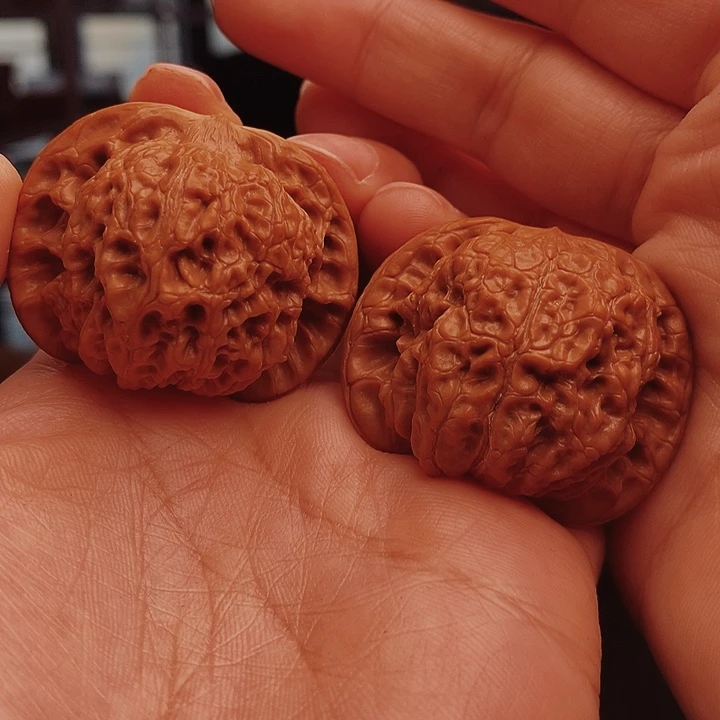 核桃40尺血麒麟核桃