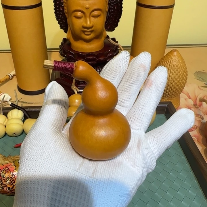 P***阳哈哈哈哈哈哈哈哈哈哈哈哈