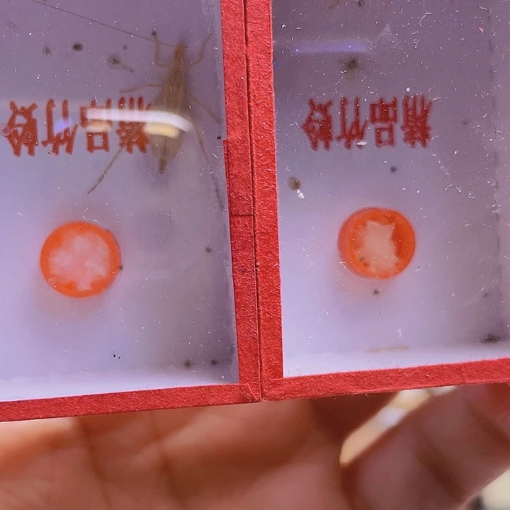 江***待黑金2啊啊啊啊啊啊啊啊