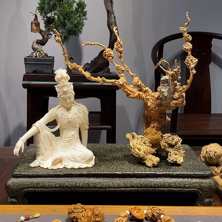 幸***子六道木降龙木组合菩提树下