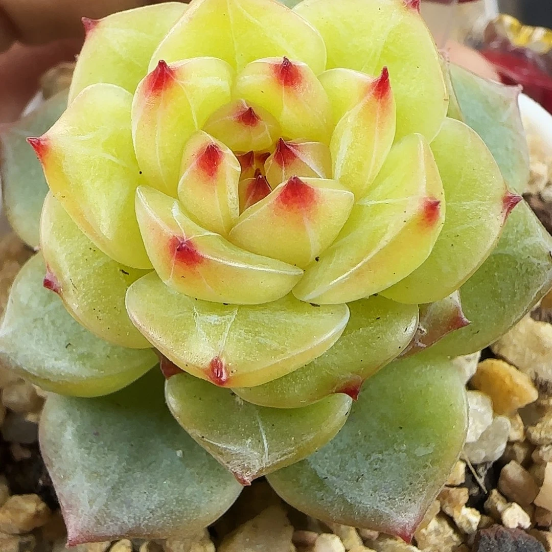 513号哈哈哈哈哈哈