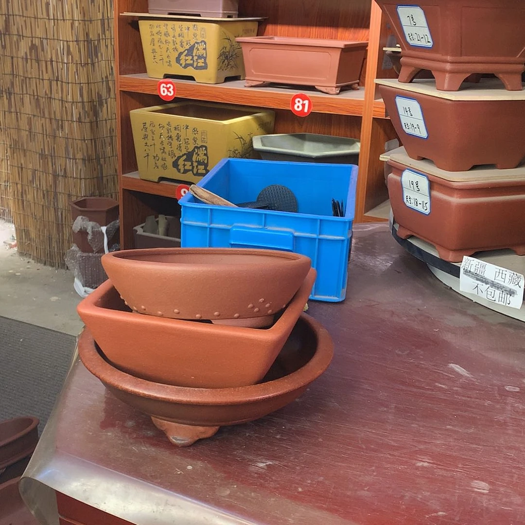 见*青紫砂花盆自选三只