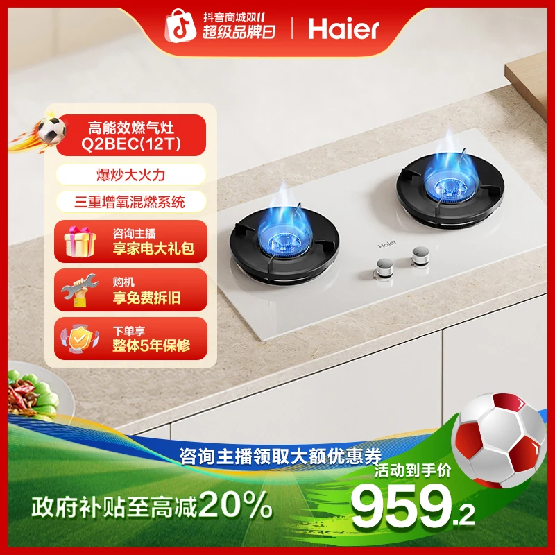【国补立减20%】海尔麦浪小红花燃气灶双灶5.2kw猛火台嵌两用Q2BEC