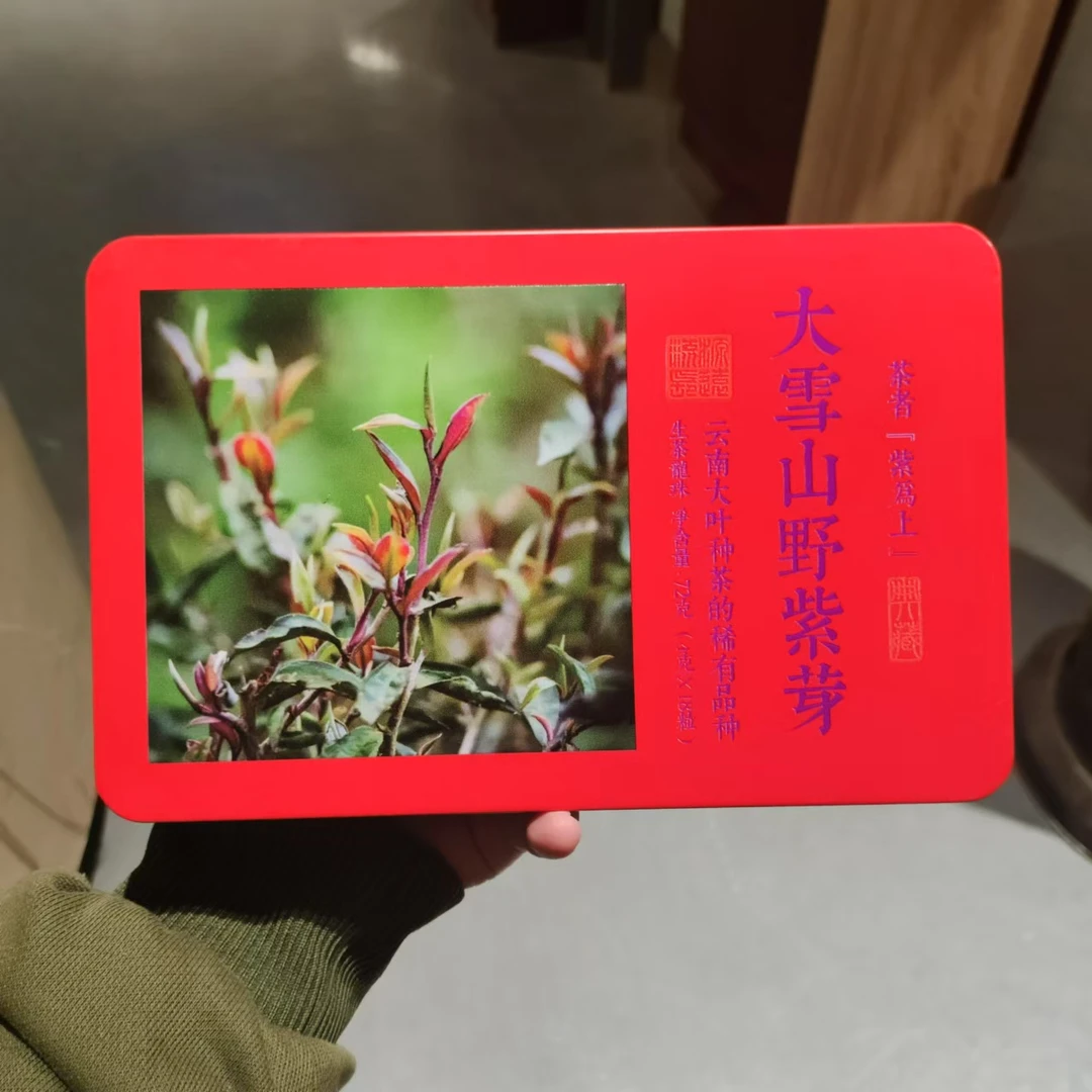 【飞哥开仓放漏】大雪山野紫芽铁盒（生茶）72g
