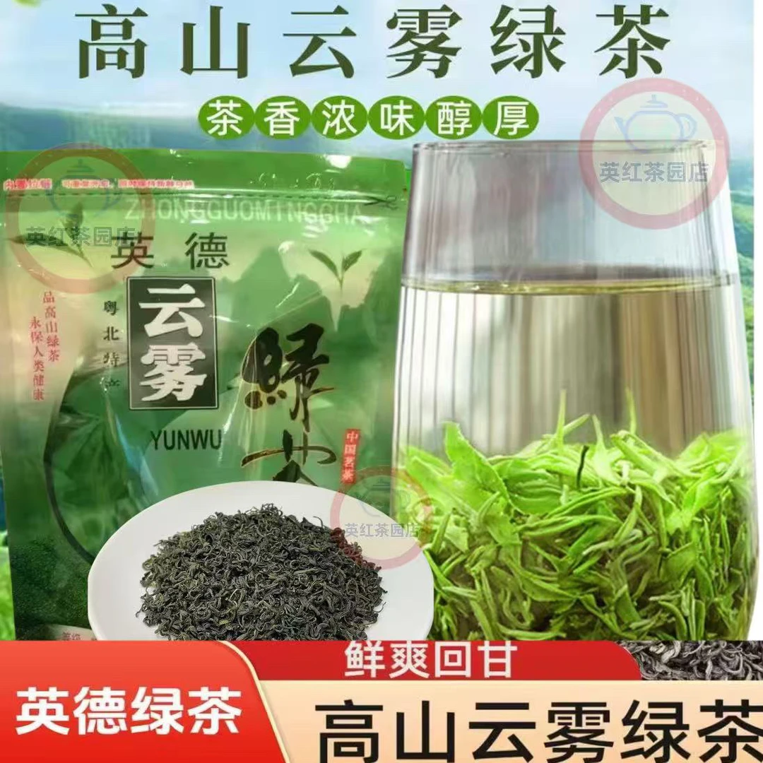 云雾茶英德绿茶高山云雾绿茶炒青绿茶高山绿茶