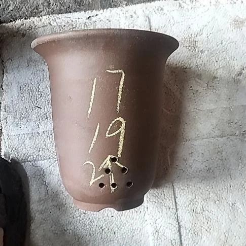 小金钟两个紫砂花盆