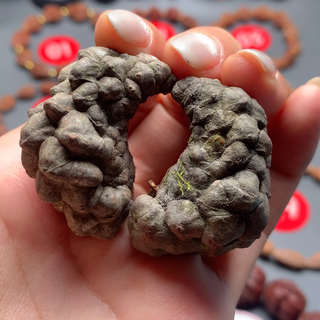 核桃20龙鳞凤爪松塔