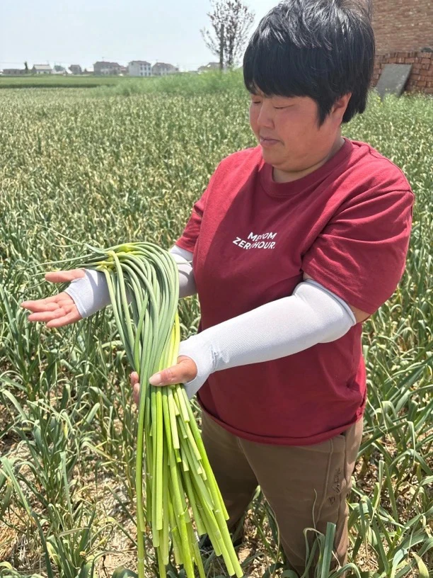 5斤新鲜正宗苏北本地蒜苔