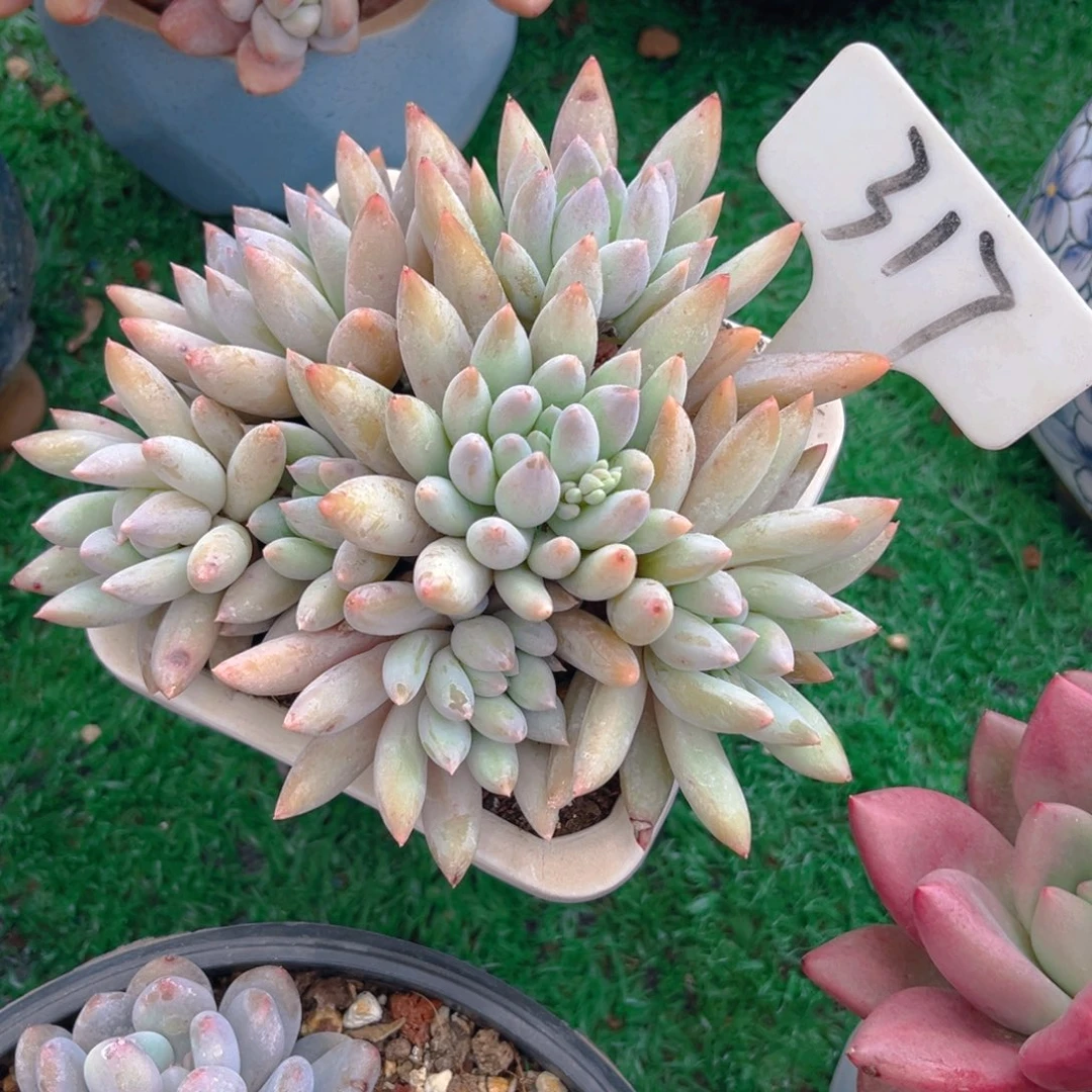 ✨****?317fghjjjjjjjjj