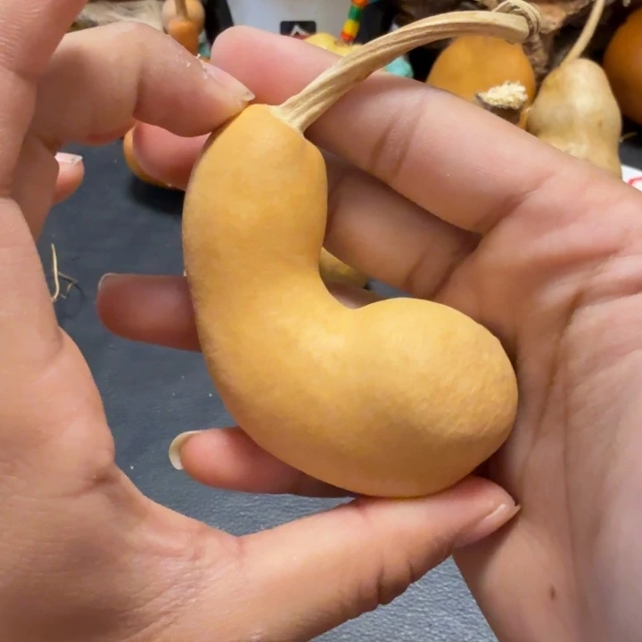 卍***卍888……………………………………