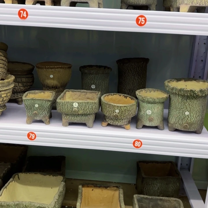 红陶内敛的人也是有的