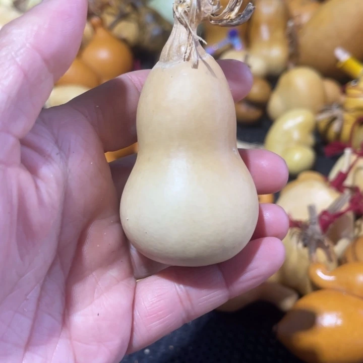 ****学葫芦哈哈哈哈哈哈哈哈