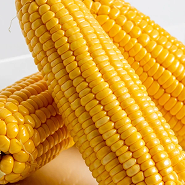 贵州水果黄糯玉米甜糯软香甜