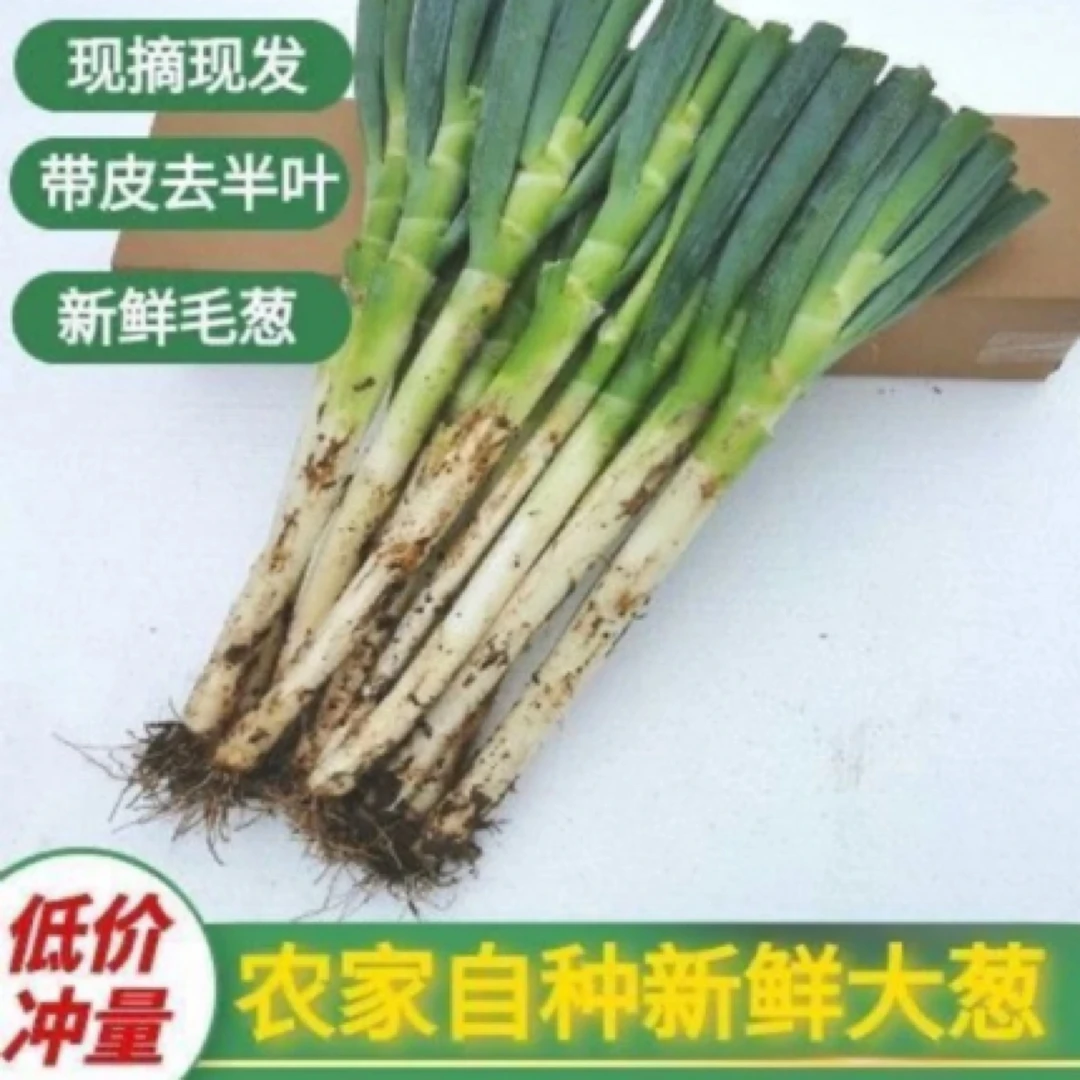 山东大葱新鲜带皮半叶大葱