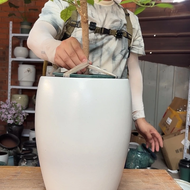 正品高33口23一个
