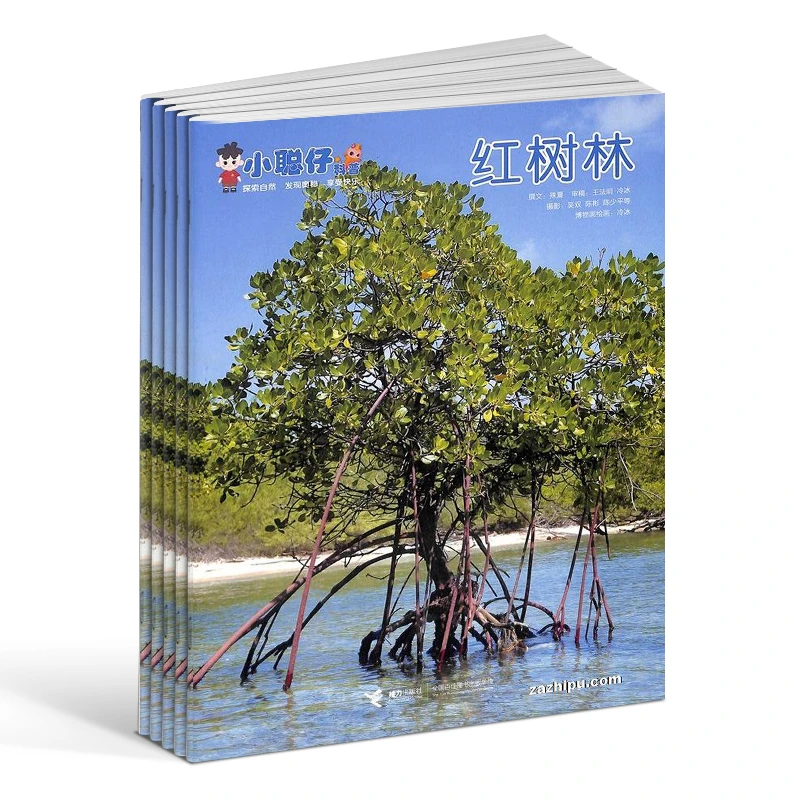 小聪仔自然科普版2025半年/全年订阅2-8岁幼儿自然科普书杂志铺