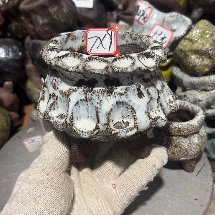 粗陶花盆制作就这样了，现在