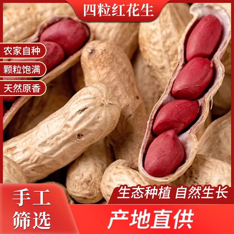 2025炒货原味带壳红皮四粒红花生米农家自种自然晒干干货炒货原味