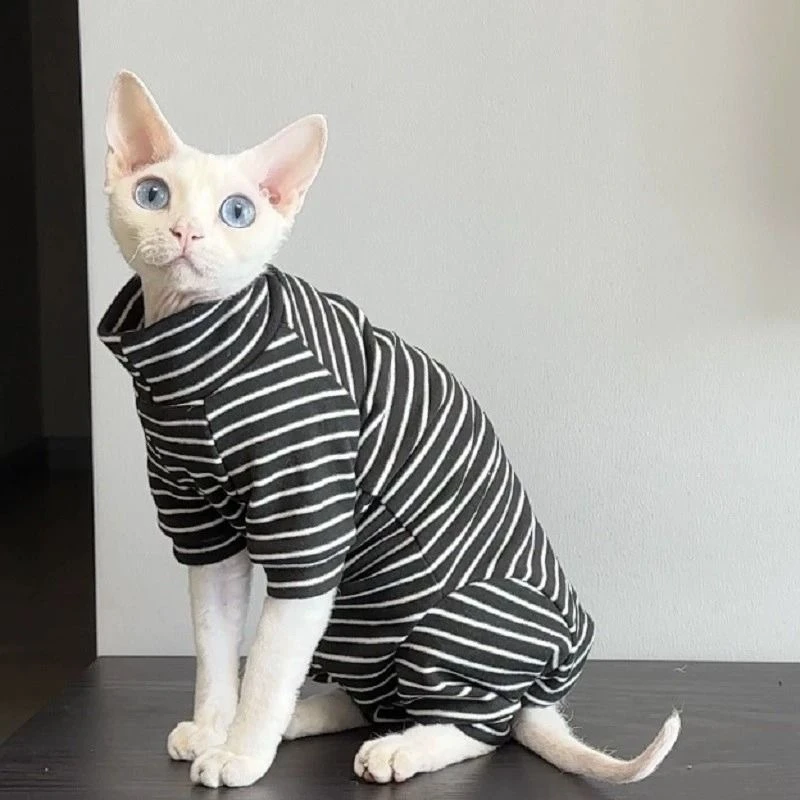春夏薄款透气简约猫咪衣服无毛猫四脚衣德文洋气空调服
