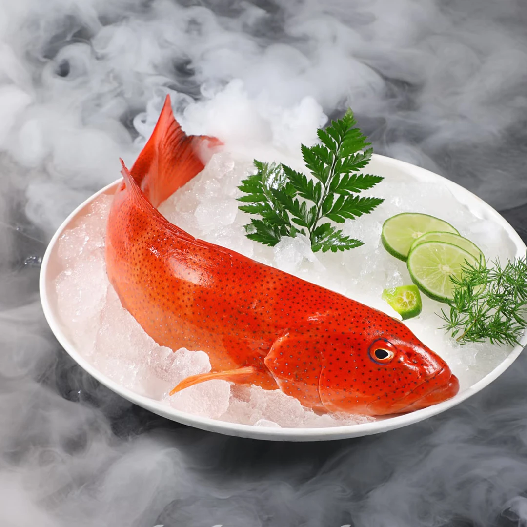 【鲜活东星斑约 800g/条】昆明小时达【加工熟食】