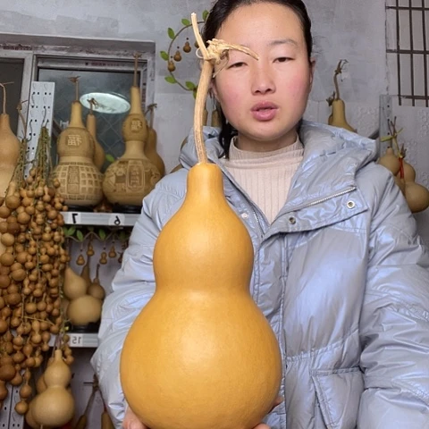 天然植物葫芦文玩