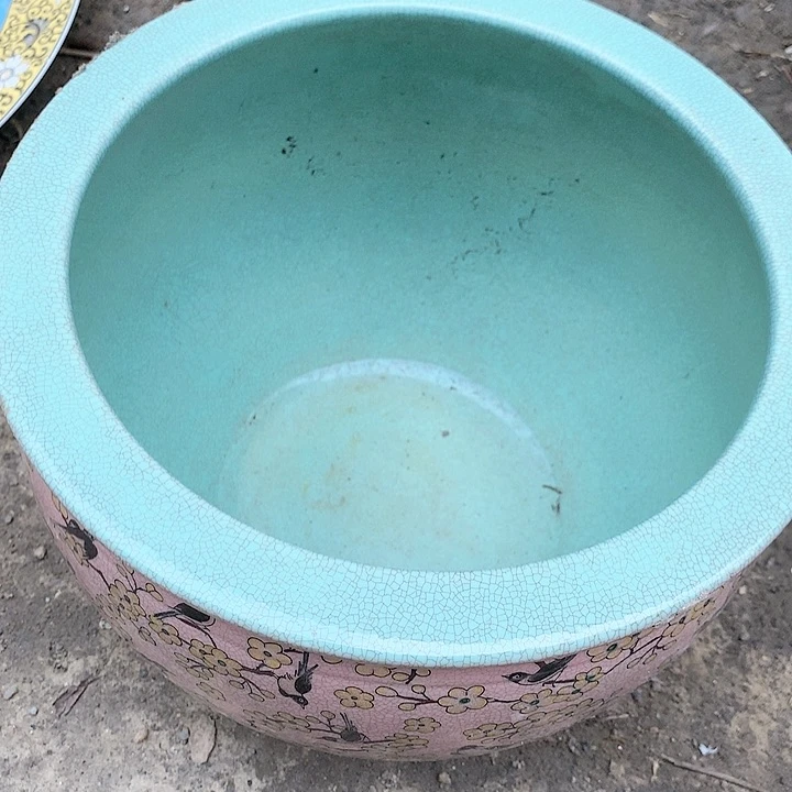 瓷片我也好可爱的啊哈