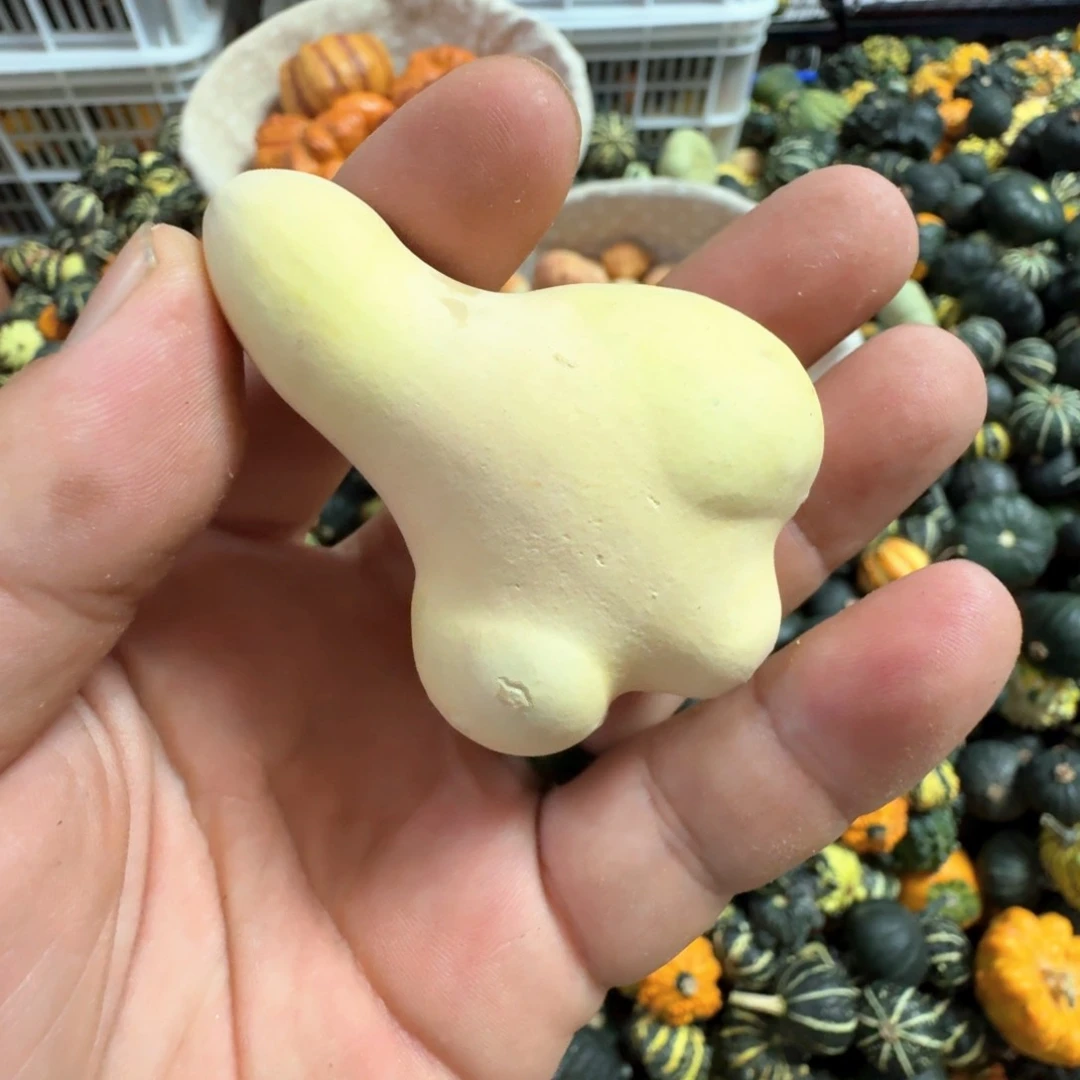 四****t青皮葫芦有灵魂的东西b