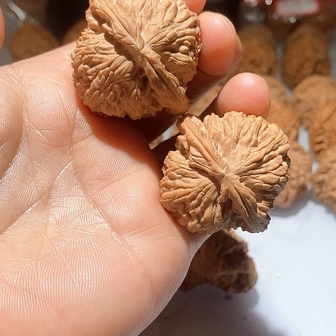 吊坠文玩核桃J**.白狮子